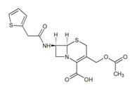 Cephalothin Cephalothin