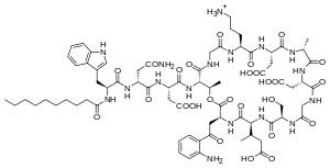 Daptomycin Daptomycin