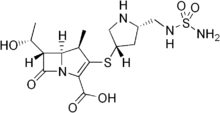 Doripenem Doripenem