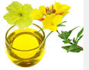Evening Primrose Oil Evening Primrose Oil
