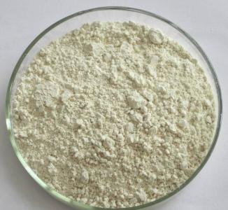 Flutamide Flutamide
