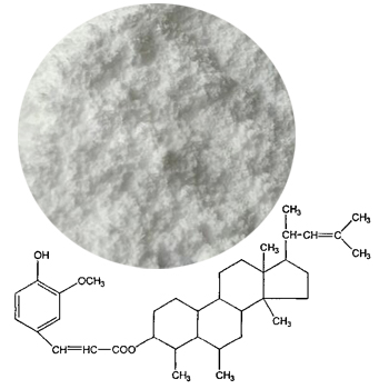 Gamma Oryzanol(Ferulic acid ester) Gamma Oryzanol(Ferulic acid ester)