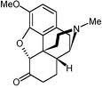 Hydrocodone Hydrocodone