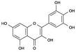 Myricetin Myricetin