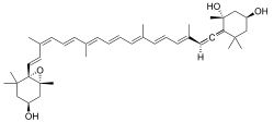 Neoxanthin Neoxanthin