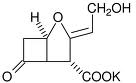 Potassium Clavulanate Potassium Clavulanate