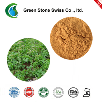 Cordia Latifolia Extract Cordia Latifolia Extract