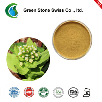 Petasites Japonicus Extract Petasites Japonicus Extract