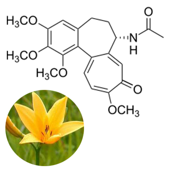 Colchicine Colchicine