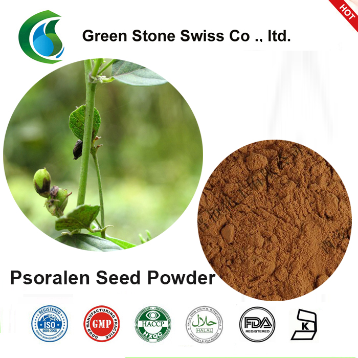Psoralen Seed Powder Psoralen Seed Powder