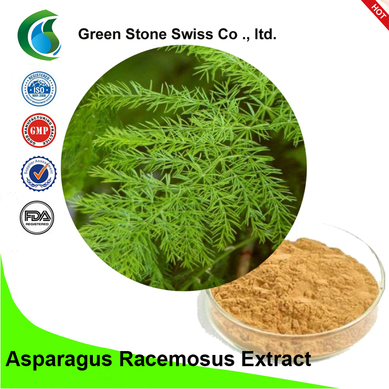 Asparagus Racemosus Extract (5:1) (Shatavari) Asparagus Racemosus Extract (5:1) (Shatavari)