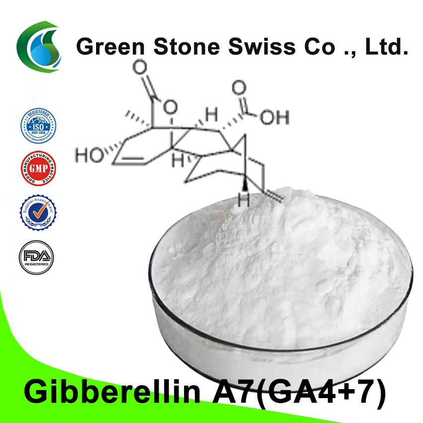 Gibberellin A7(GA4+7) Gibberellin A7(GA4+7)