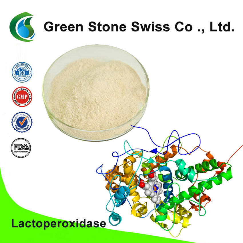 Lactoperoxidase Lactoperoxidase