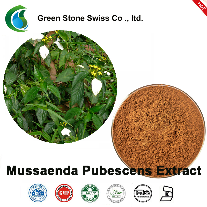 Mussaenda Pubescens Extract Mussaenda Pubescens Extract