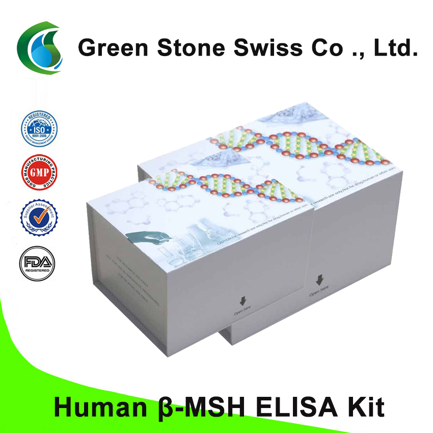 Kit ELISA β-MSH humain