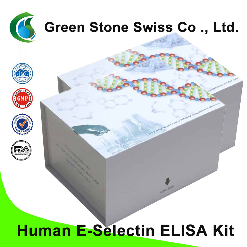 Human E-Selectin ELISA Kit Human E-Selectin ELISA Kit