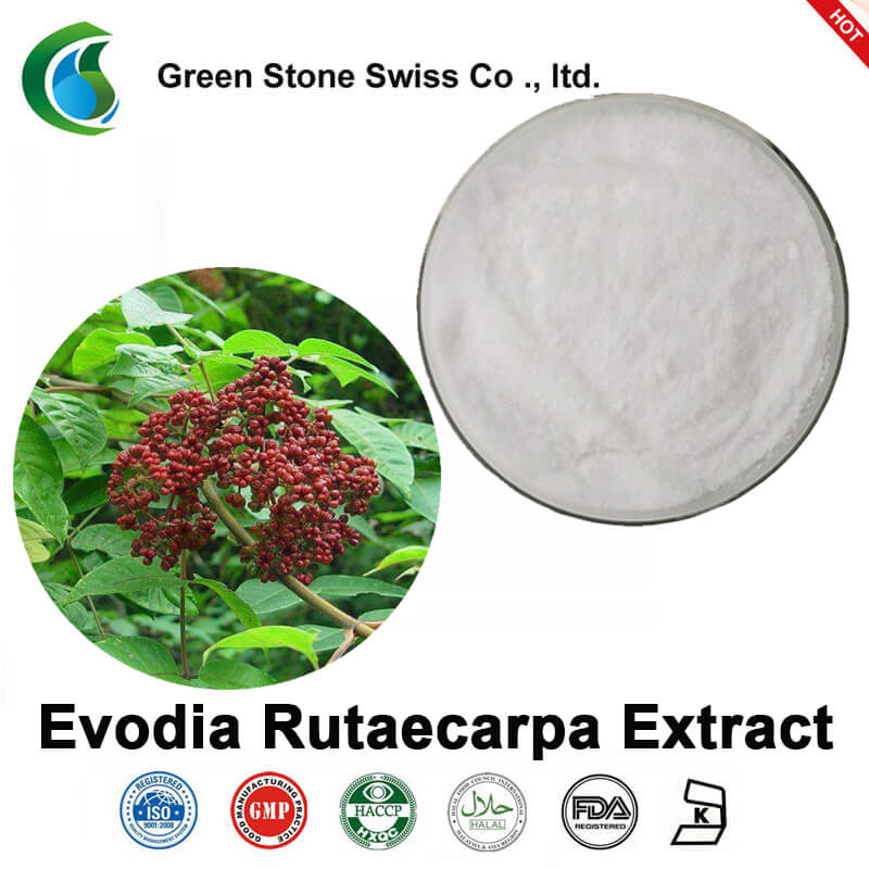 Evodia Rutaecarpa Extract Evodia Rutaecarpa Extract