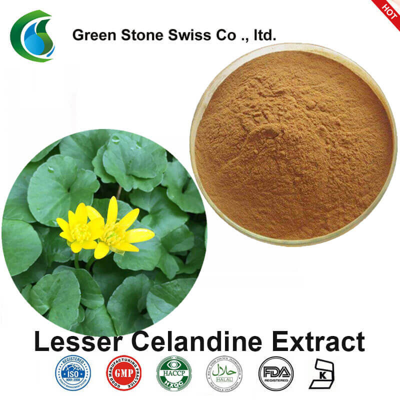 Lesser Celandine Extract(Ranunculus ficaria extract) Lesser Celandine Extract(Ranunculus ficaria extract)