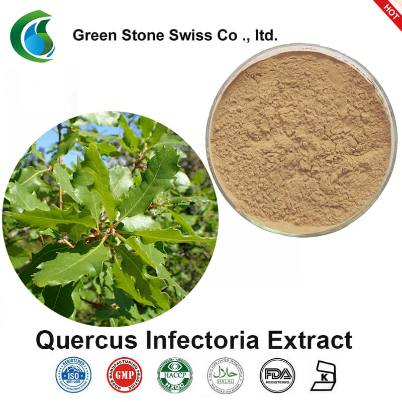 Extracte d'infecció de Quercus Extracte d'infecció de Quercus