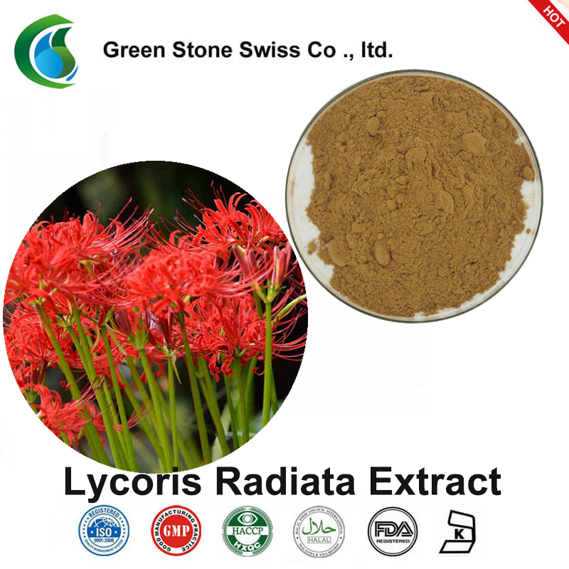 Lycoris Radiata Extract