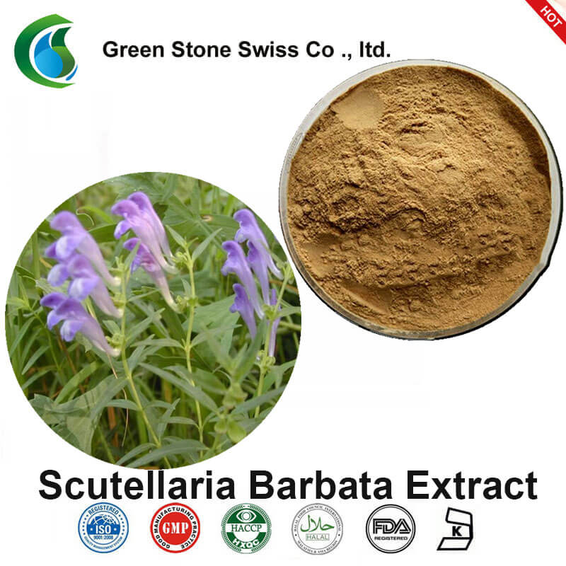 Soil Elsholtzia Extract