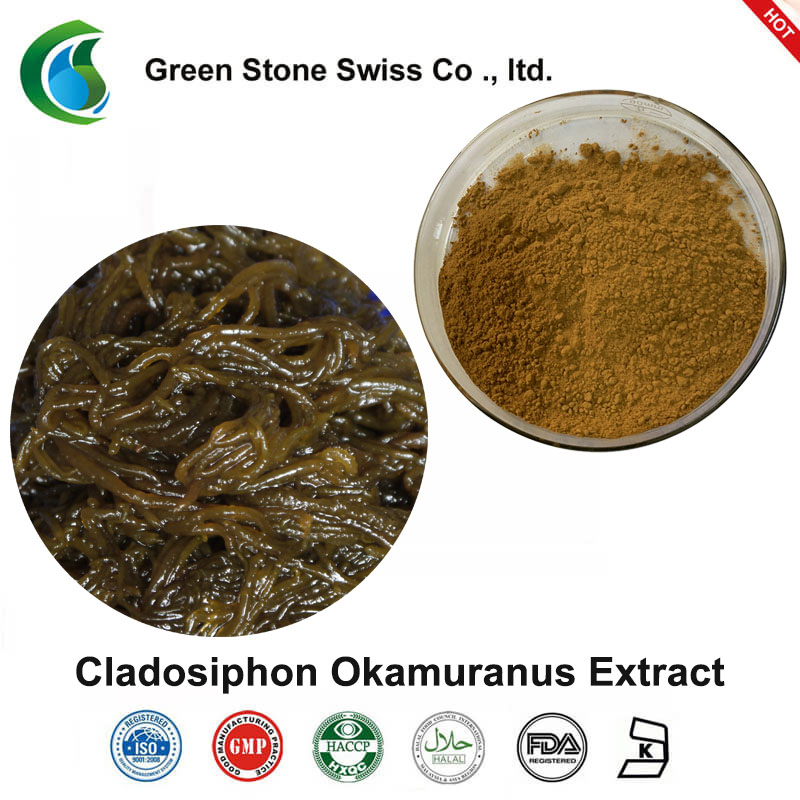 Cladosiphon Okamuranus Extract