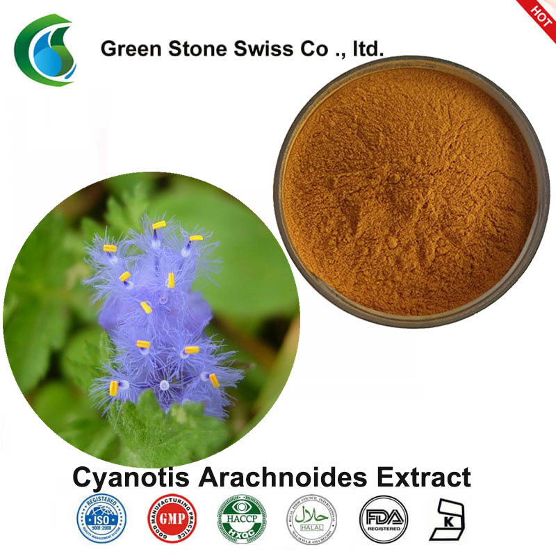Cyanotis Arachnoides Extract