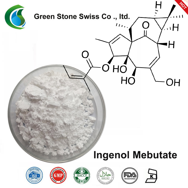 Ingenol Mebutate