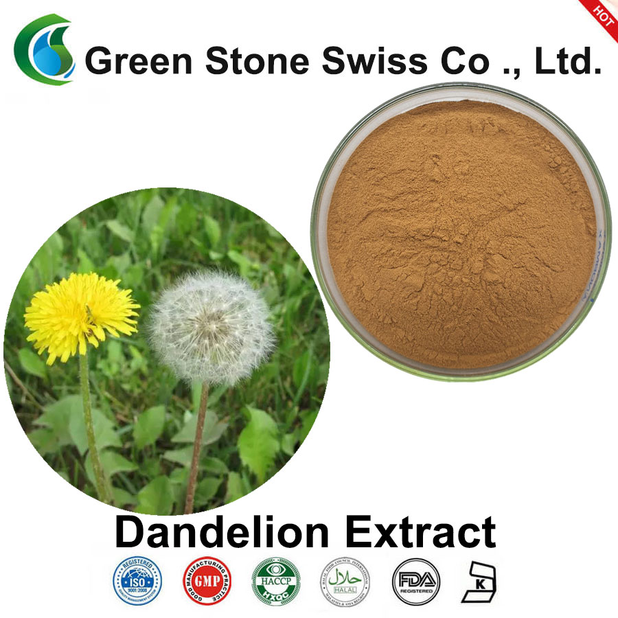 Dandelion Extract
