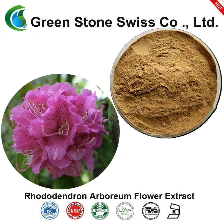 Rhododendron Arboreum Flower Extract (Solvent Extraction) Powder 
