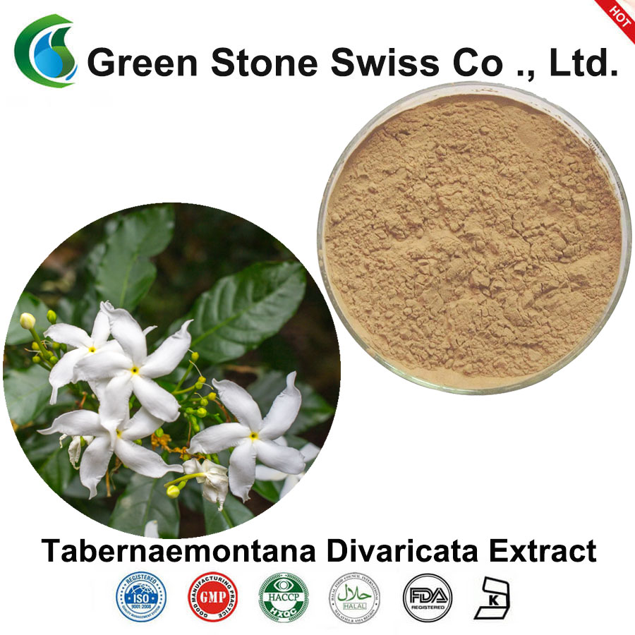 Tabernaemontana Divaricata Extract Tabernaemontana Divaricata Extract
