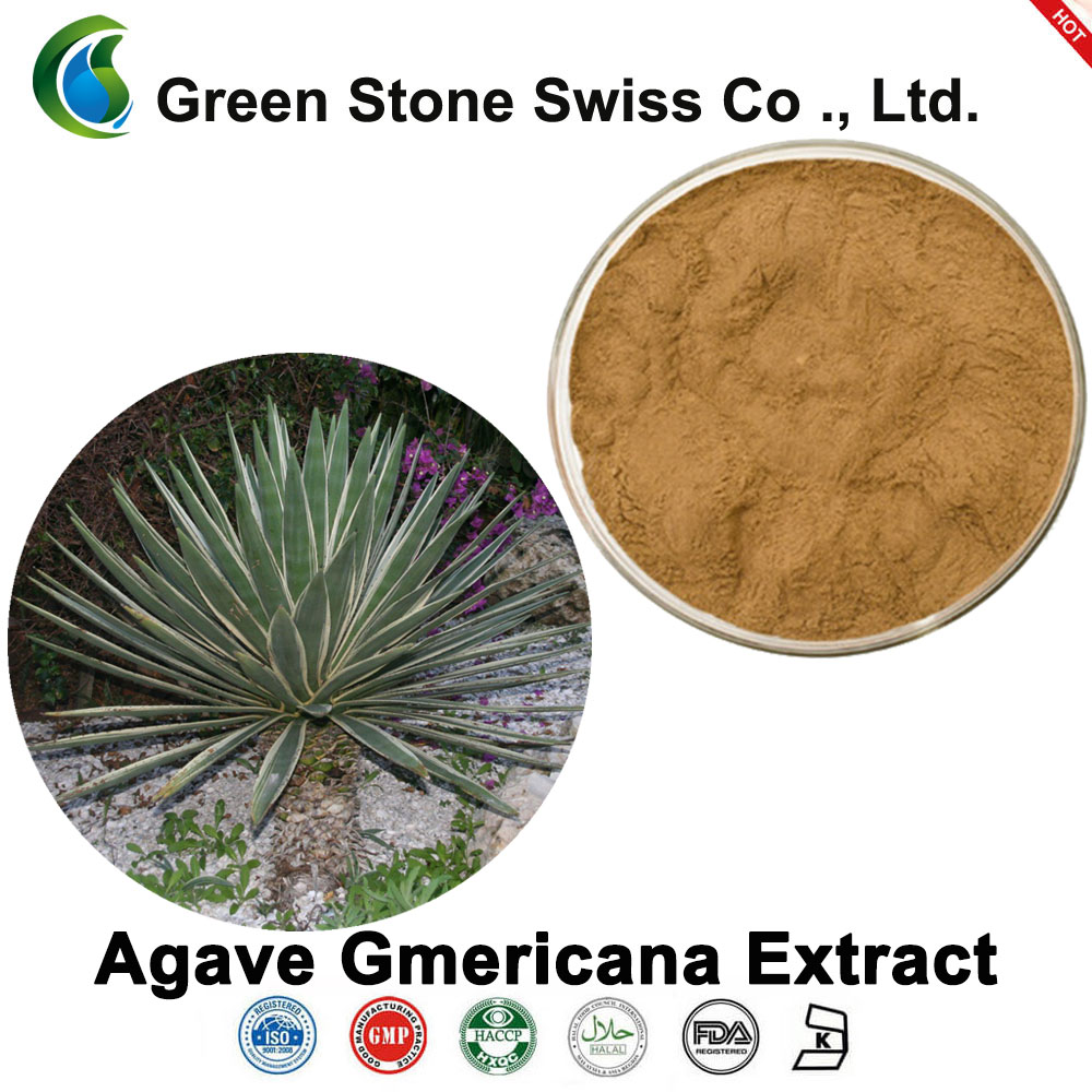 Agave Gmericana Extract