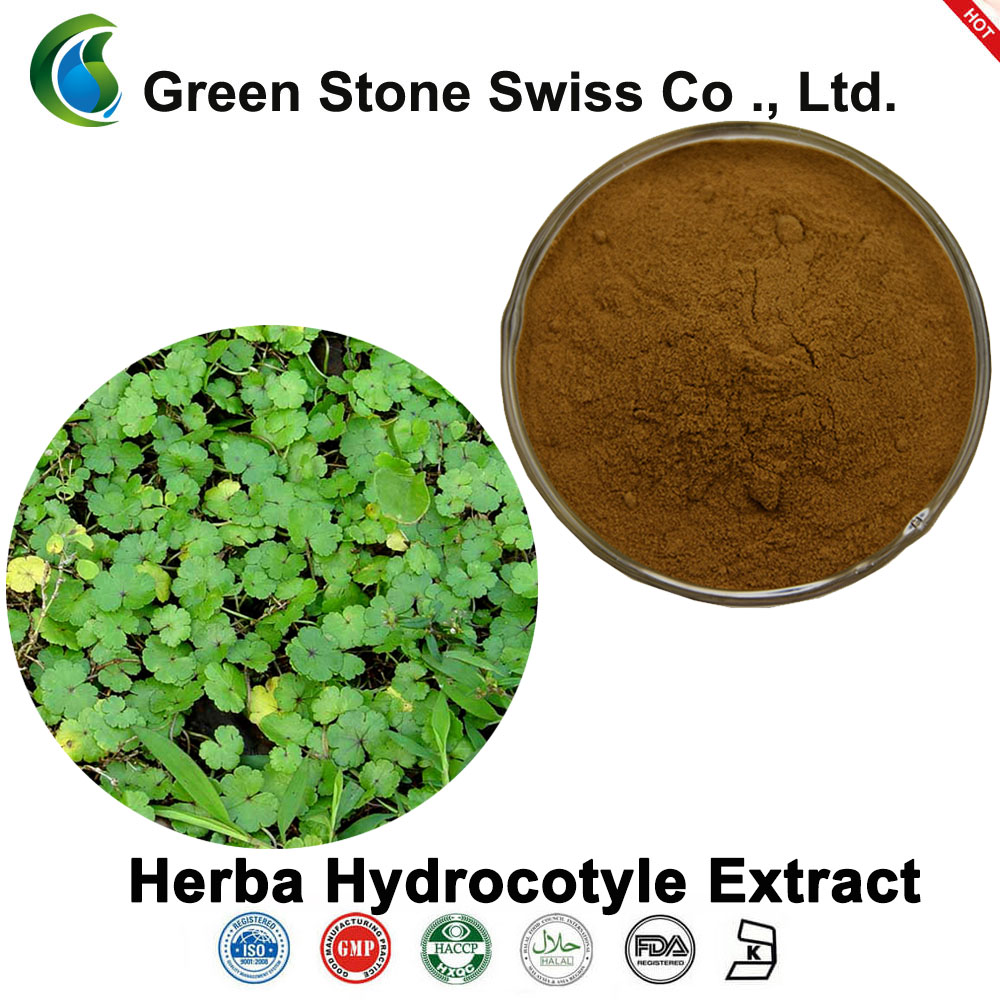 Herba Hydrocotyle Extract