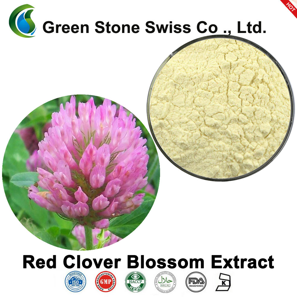 Red Clover Blossom Extract Powder