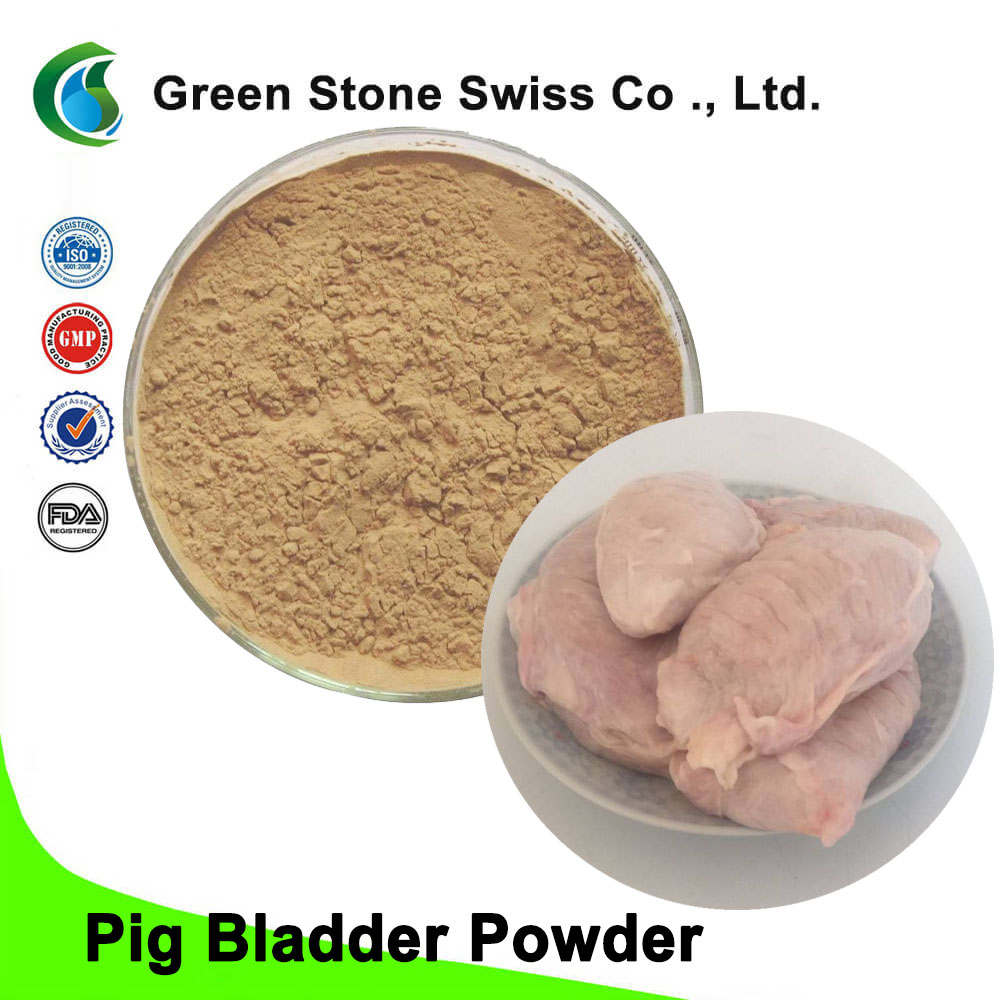 Pig Bladder Powder Pig Bladder Powder