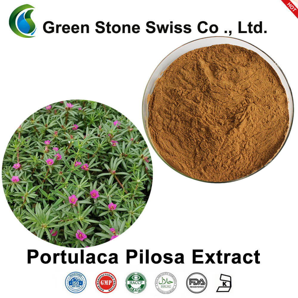 Portulaca Pilosa Extract Portulaca Pilosa Extract