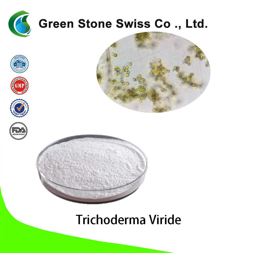 Trichoderma Viride