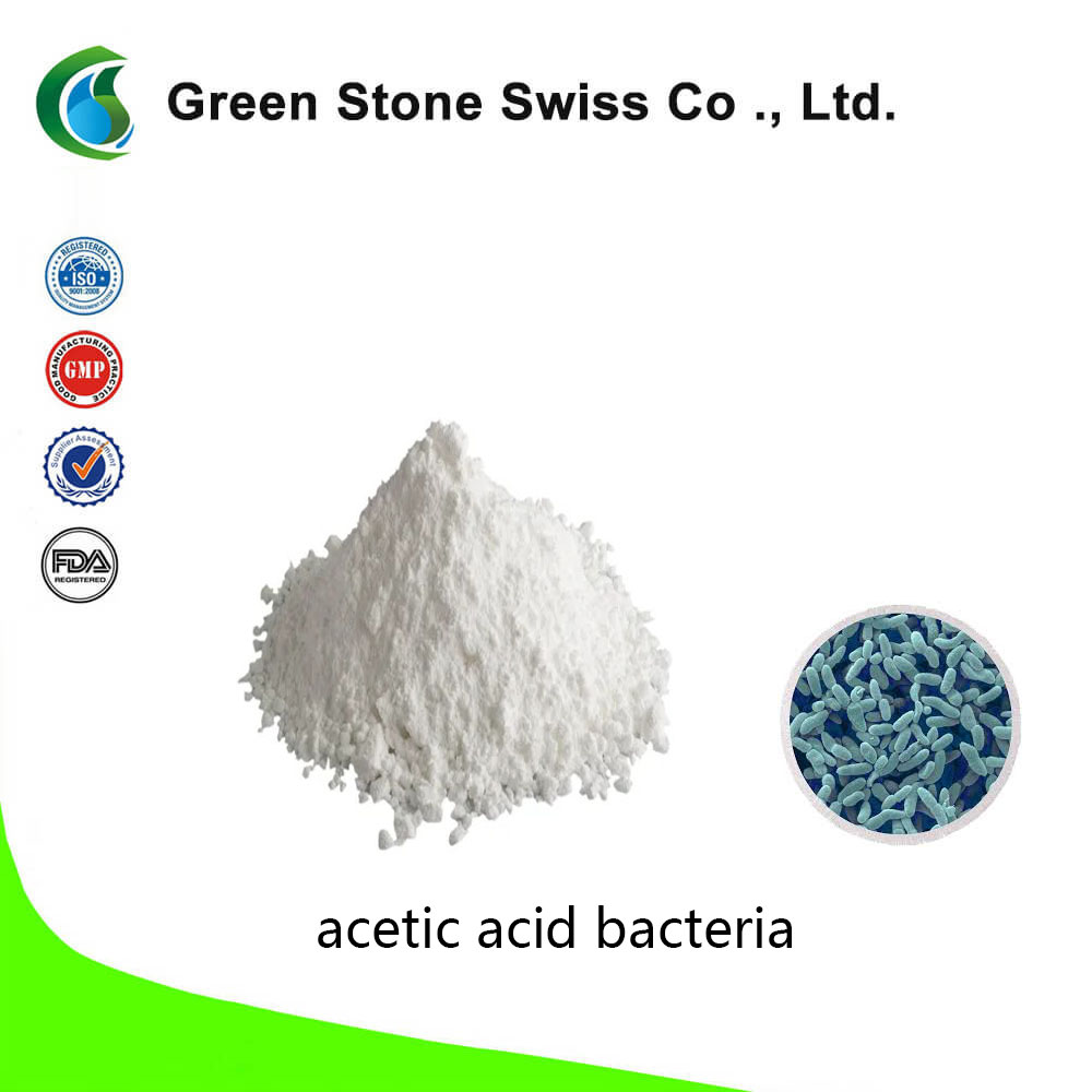 acetic acid bacteria