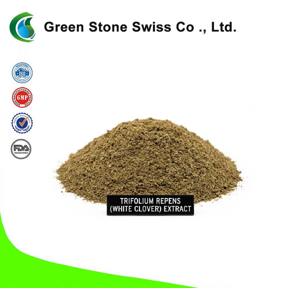 Trifolium Repens (White Clover) Extract