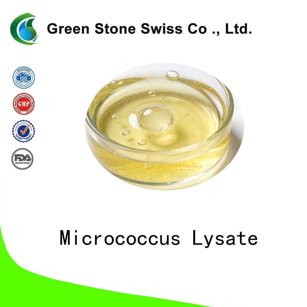 Micrococcus Lysate